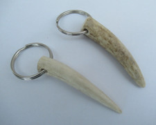 TWO SCOTTISH RED DEER STAG