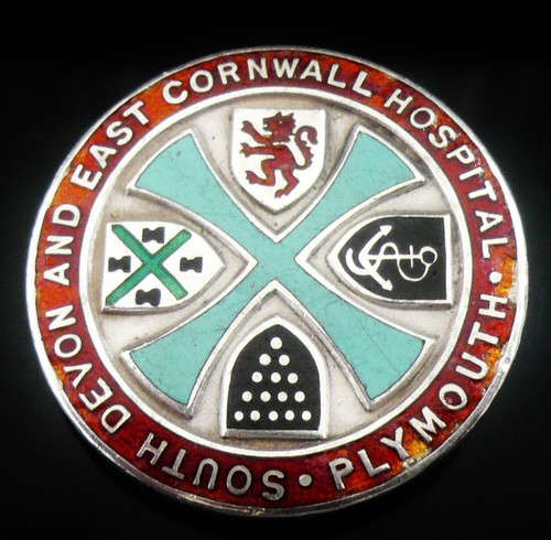 Sterling silver nursing - nursing, badge