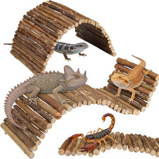 Bearded dragon accessories 2 - bearded,