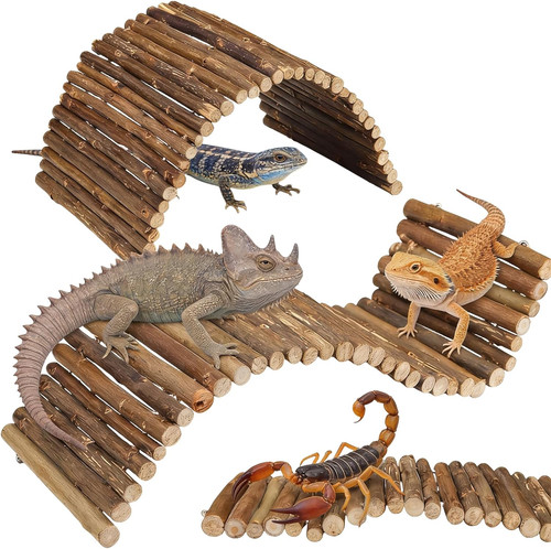 Bearded dragon accessories 2 - accessories,,