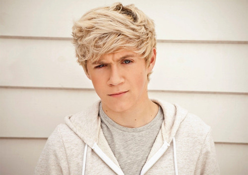 Niall horan one direction - one,