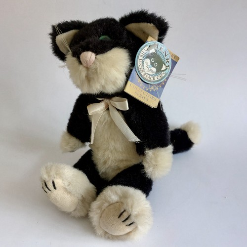 Henry the lucky - henry, cat