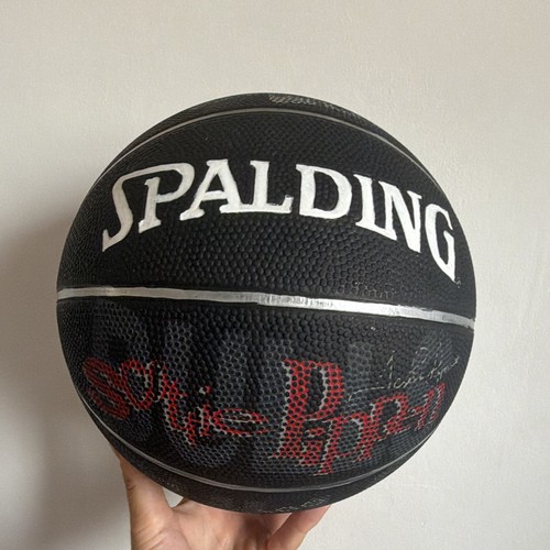 Spalding basketball chicago - spalding,