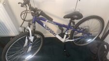 Barely Used Apollo Gradient Mens Mountain Bike Blue and White