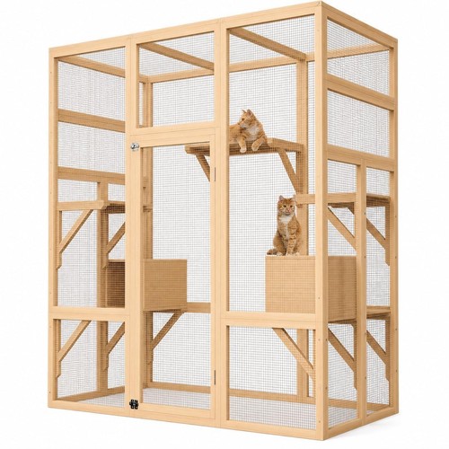 Walk catio outdoor - walk,