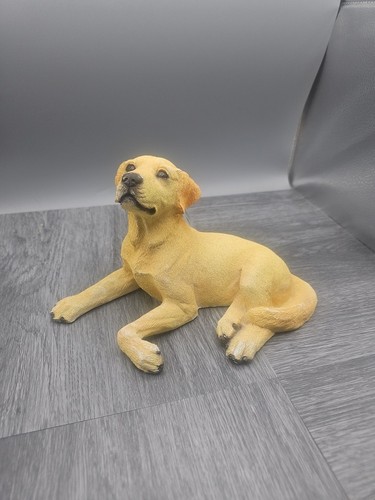 Yellow labrador retriever - yellow,