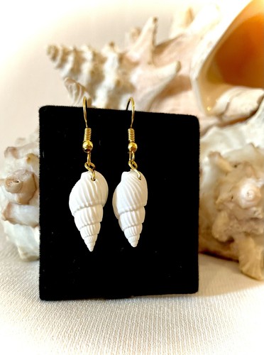 Sea shell beach - beach, white