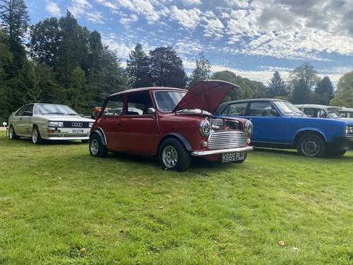 Classic mini rover - classic,