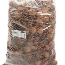 Pine Cones (Austriaca Cones) 5kg or 10kg Bag Floral Christmas Decorations Events
