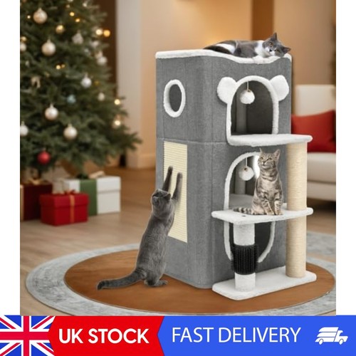 Modern cat condo with - cat, highway