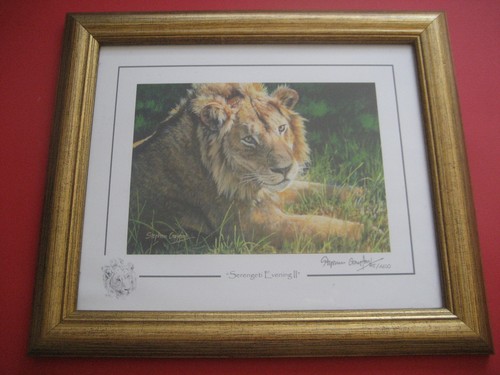 Stephen gayford serengeti - stephen, "serengeti