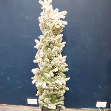 John Lewis Snowy Potted