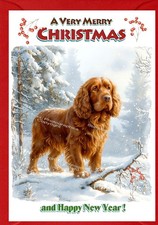 Sussex spaniel dog - sussex, (4"