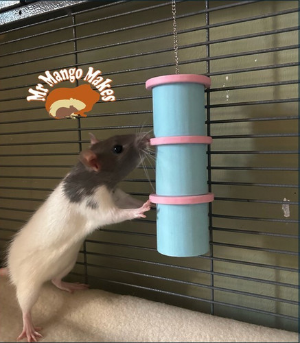 Rat hanging foraging toy - hanging, toy,