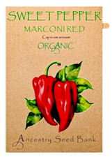 Organic SWEET PEPPER 🌱