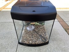 Aquarium, Terrarium, Reptile