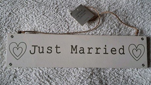 Just married wooden sign with - just,