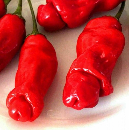 200 red penis peter - red,