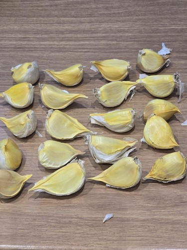 Elephant garlic cloves number - garlic,