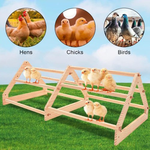 Wooden stand holder parrot - wooden,