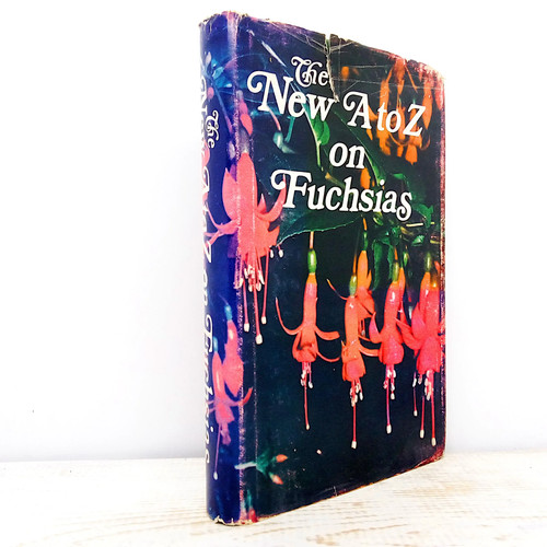 The new fuchsias - fuchsias,