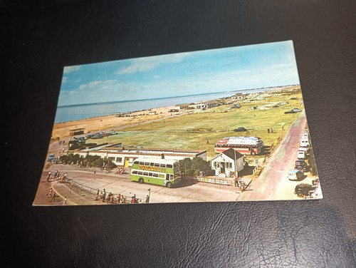 Coastal scene buses - scene, buses,
