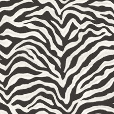 G67491 - Natural FX2 Zebra Black White Galerie Wallpaper