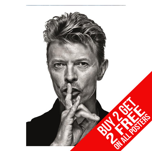 David bowie ziggy stardust bb1 - ziggy,