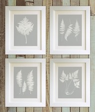 SET OF 4 Fern Prints, 5"x7"