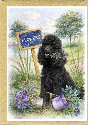 Poodle dog - poodle, (4"x