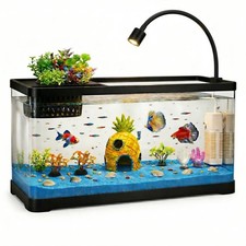 5 Gallon Fish Tank Aquarium