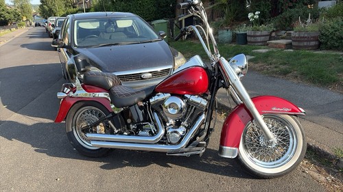 Harley davidson fatboy - harley,