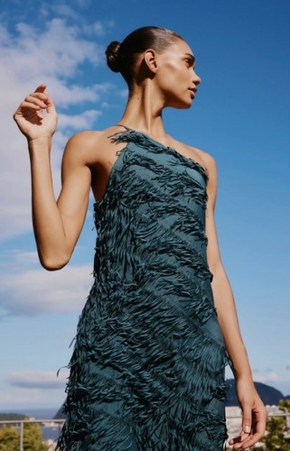 Zara woman fringe midi dress - zara,