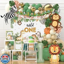 Wild One Birthday
