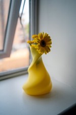Asymmetrical 3D Printed Vase