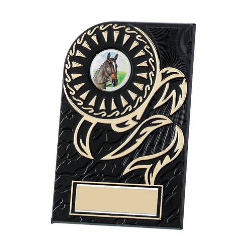 Budget plaque award - budget,