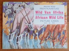 EMPTY BROOKE BOND SOUTH AFRICA