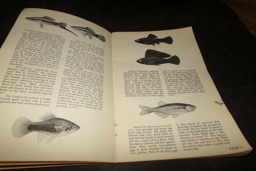 Vintage tropical fish guide - vintage,
