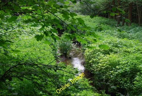 Photo 6x4 river grom ramslye - 6x4,