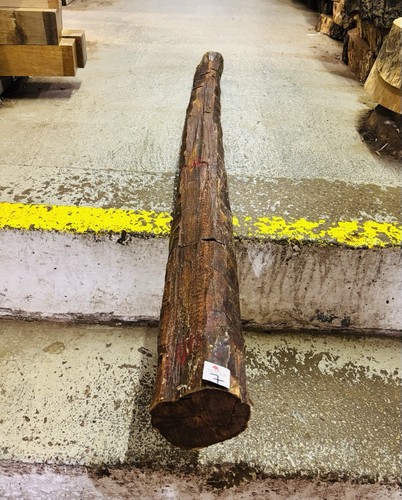 Snakewood aaa grade - log, /