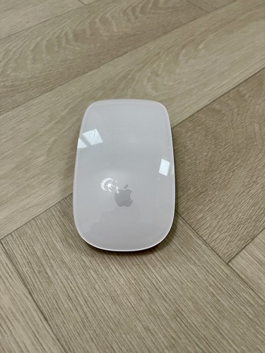 Genuine apple magic mouse - genuine,