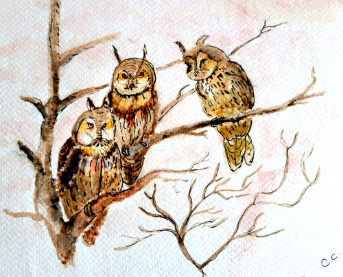 Original watercolour - original,