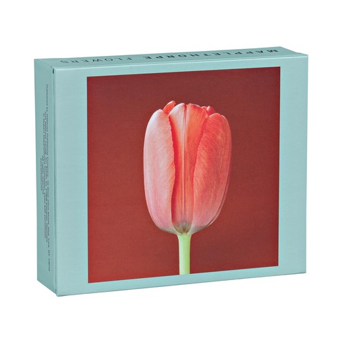 Mapplethorpe flowers - mapplethorpe,