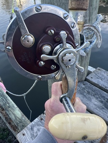 Penn senator reel - penn, 6/0