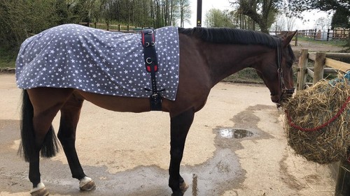 Traditional fleece exercise - traditional,