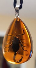 Scorpion in Acrylics Necklace