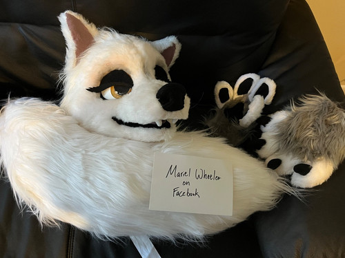 Arctic fox wolf fursuit - arctic, fox/wolf