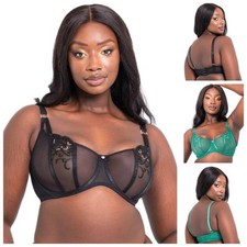 Scantilly by Curvy Kate Ornate