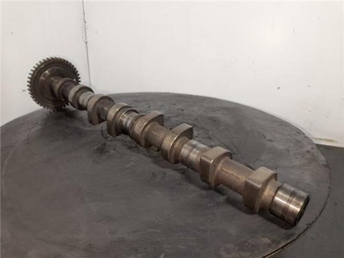 R6110510101 camshaft 1082402
