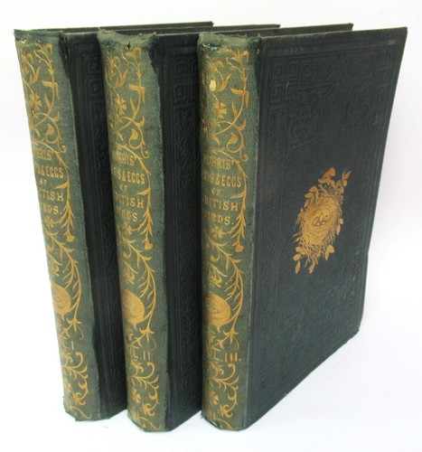Morris nests eggs of - morris,, &